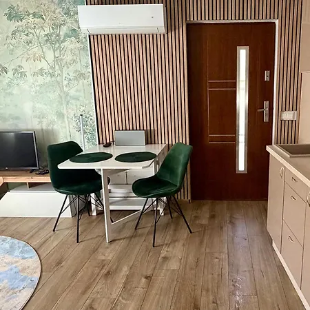 Puzzle Haus Apartment *